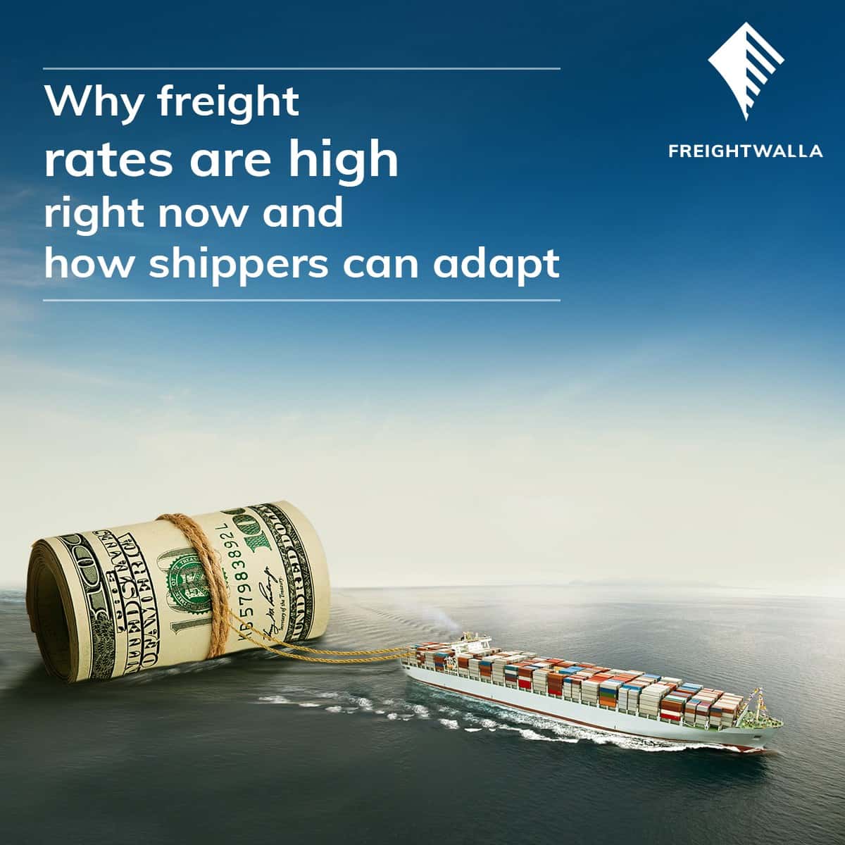 Freight Rates are High Right Now
